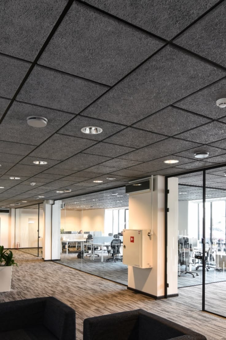 Acoustic & Drop Ceilings construction service